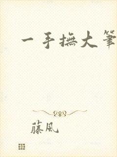 一手抚大笔趣阁
