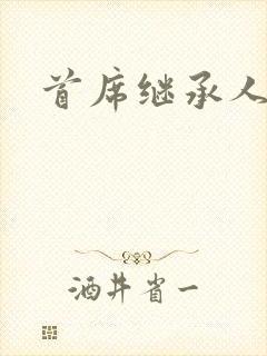 首席继承人封面