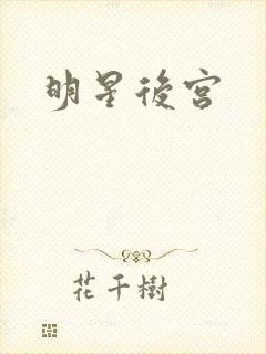 明星后宫