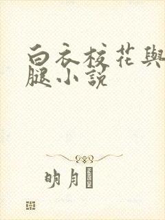 白衣校花与大长腿小说