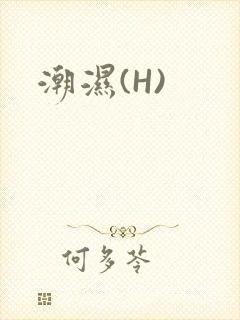 潮湿(H)
