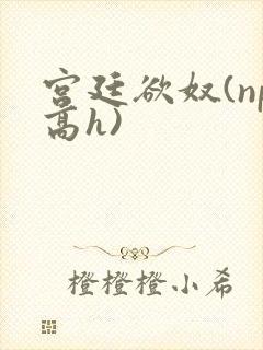 宫廷欲奴(np高h)