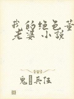 我的绝色董事长老婆 小说