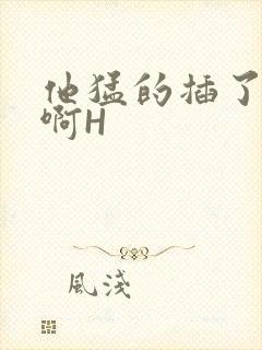 他猛的插了进去啊H封面