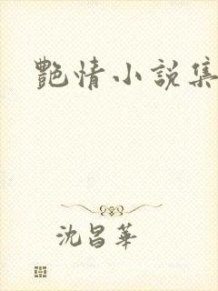艳情小说集封面