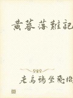 黄蓉落难记封面