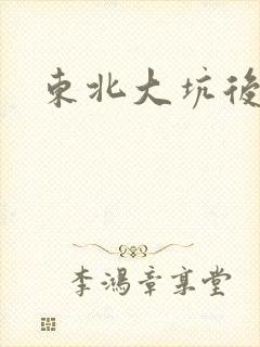 东北大坑后续2封面