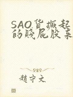 SAO货撅起你的贱屁股来