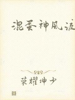 混蛋神风流记封面