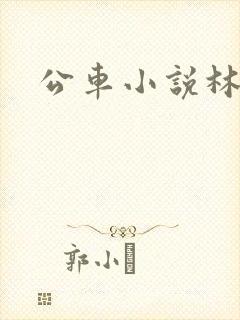 公车小说林蔓蔓