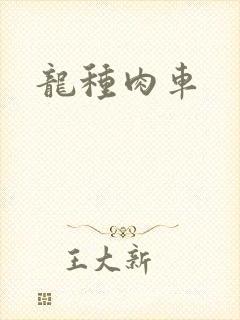 龙种肉车封面