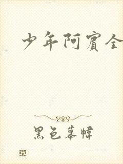 少年阿宾全文封面