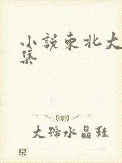 小说东北大炕全集封面