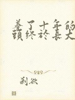 养了十年的小丫头终于长大了