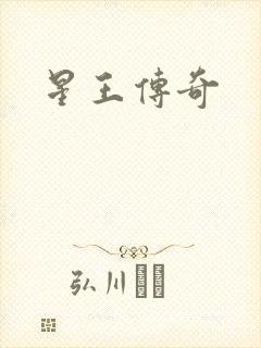 星王传奇