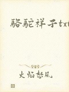 骆驼祥子txt封面