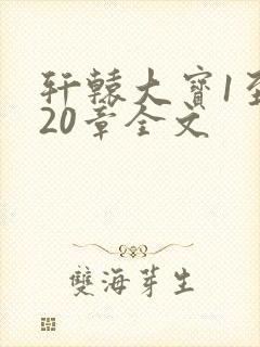 轩辕大宝1至720章全文封面