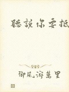 听说你要抵抗我封面