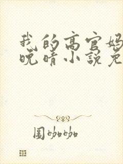 我的高官妈妈苏晚晴小说免费阅读