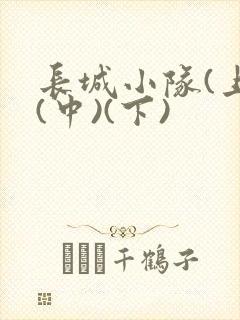 长城小队(上)(中)(下)封面