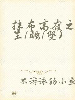 抹布高岭之花(生/触/双)封面