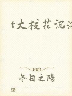 t大校花沉沦封面