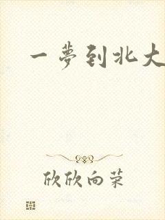一梦到北大