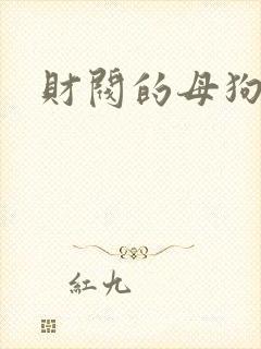财阀的母狗们封面