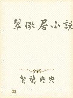 翠微居小说