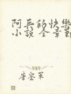 阿兵的快乐生活小说 全章节阅读免费