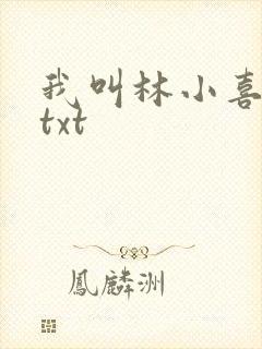 我叫林小喜小说txt