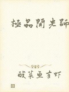 极品开光师封面