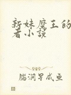 新妹魔王的契约者小说