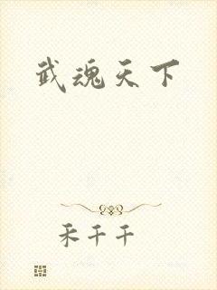 武魂天下