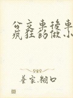 公交车后车座的疯狂的做小