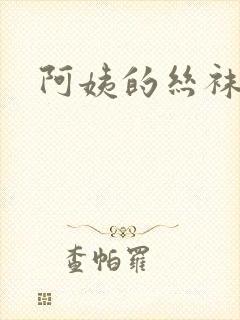 阿姨的丝袜小说