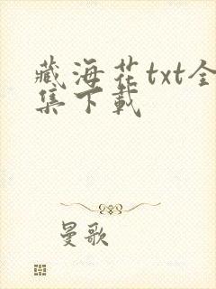 藏海花txt全集下载封面