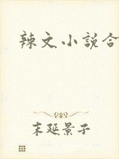 辣文小说合集封面