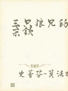 三只狼兄的宠妻宋钦封面