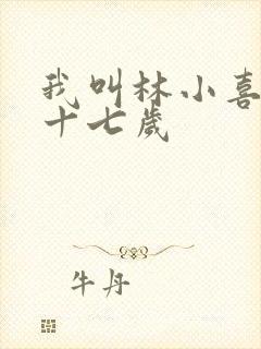 我叫林小喜今年十七岁封面