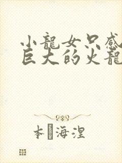 小龙女只感觉那巨大的火龙枪