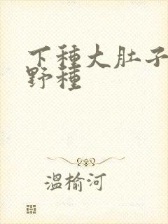 下种大肚子怀孕野种