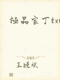 极品家丁txt
