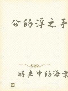 公的浮之手中字