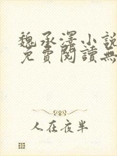 魏承泽小说全文免费阅读无弹窗笔趣