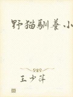 野猫驯养小说