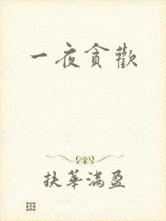 一夜贪欢