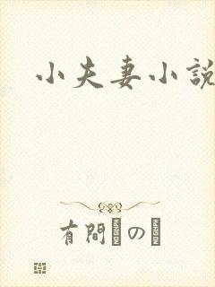 小夫妻小说