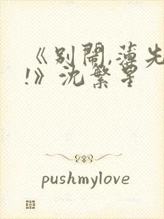 《别闹,薄先生!》沈繁星