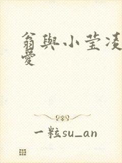 翁与小莹凌晨欢爱